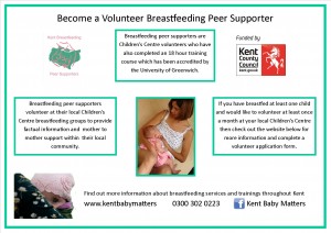 Become a peer supporter Summary
